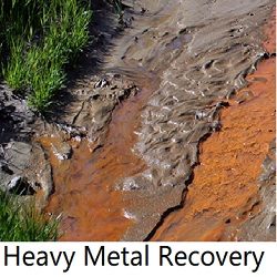 heavy_metal_recovery